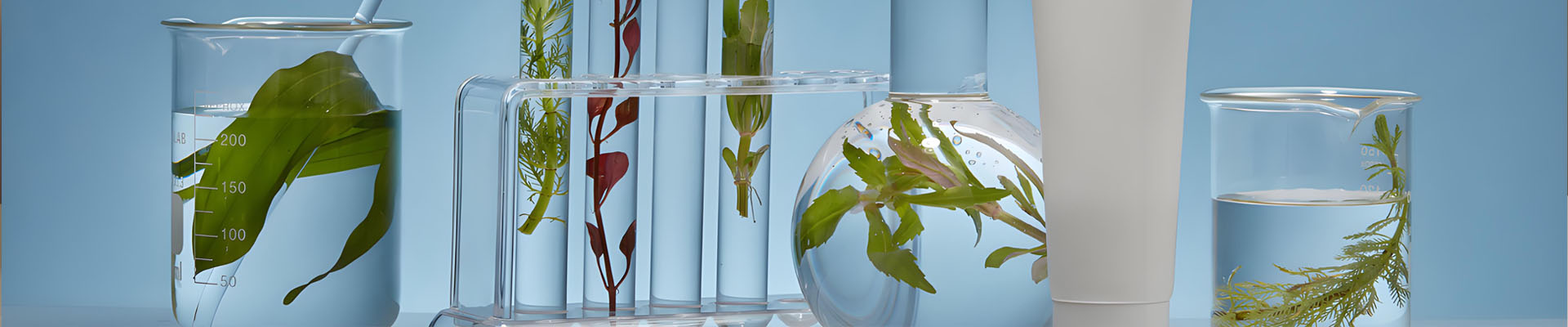 We Connect businesses globally with plant-based chemicals